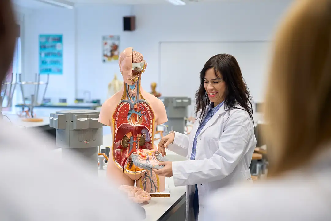 SAICHS students studying anatomy