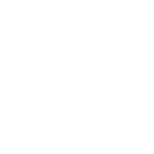 South American International University - Strive for Excellence in everything you do.